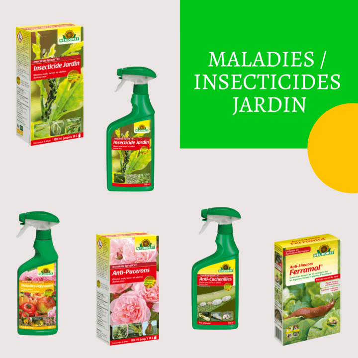 Insecticide jardin La Réunion