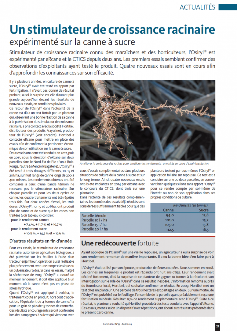 Article Caro Canne / Aout 2014