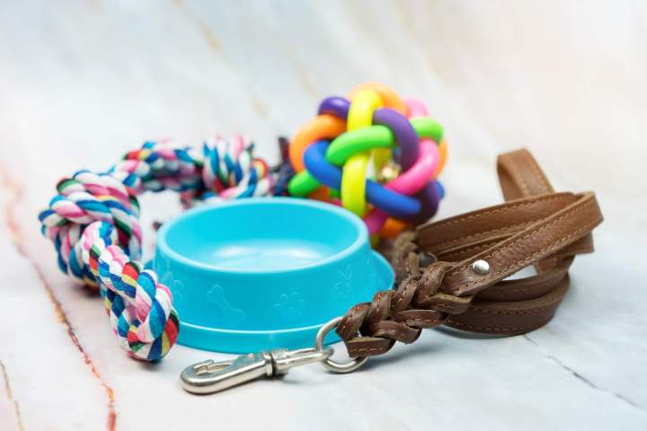 Alimentation et accessoires pour animaux de compagnie