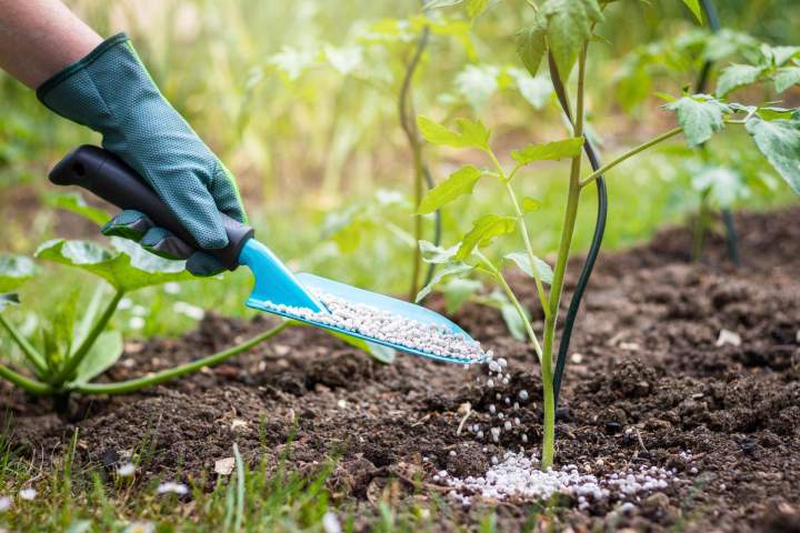 Solutions de protection pour vos cultures agricoles
