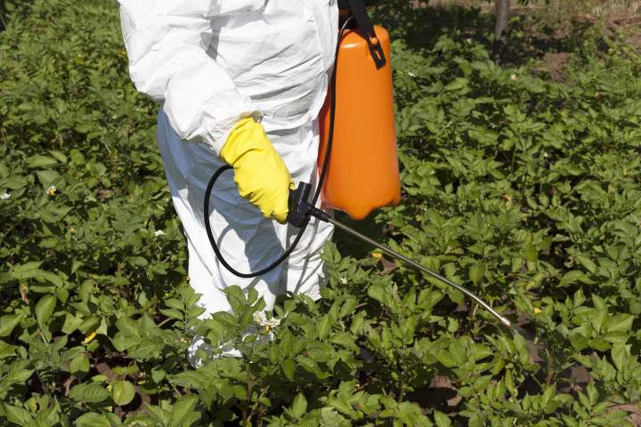 Vente de produits phytosanitaires La Réunion