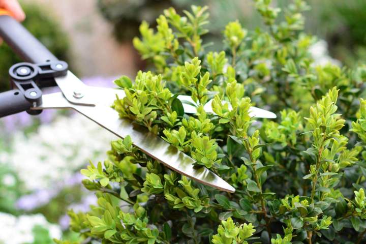 Équipements, substrats et matériels pour jardins